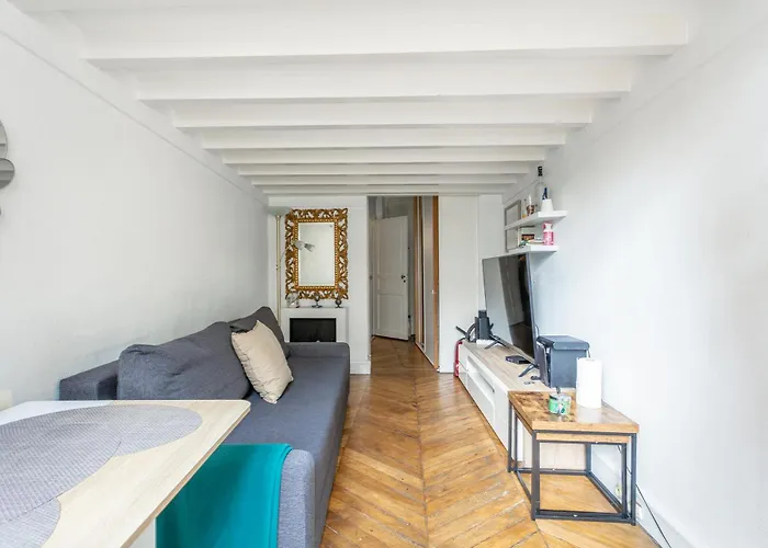 Lovely Apartment Paris Louvre